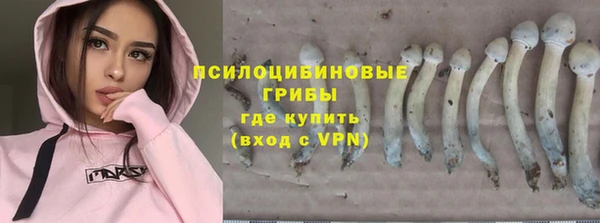 амф Алексеевка