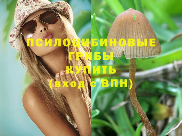 амф Армянск