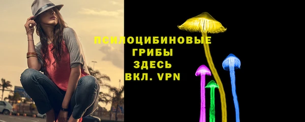 амф Алексеевка